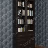 Книжный шкаф для дома ШкКн(2) №6, двухстворчатый