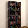 шкаф для книг широкий 2-2